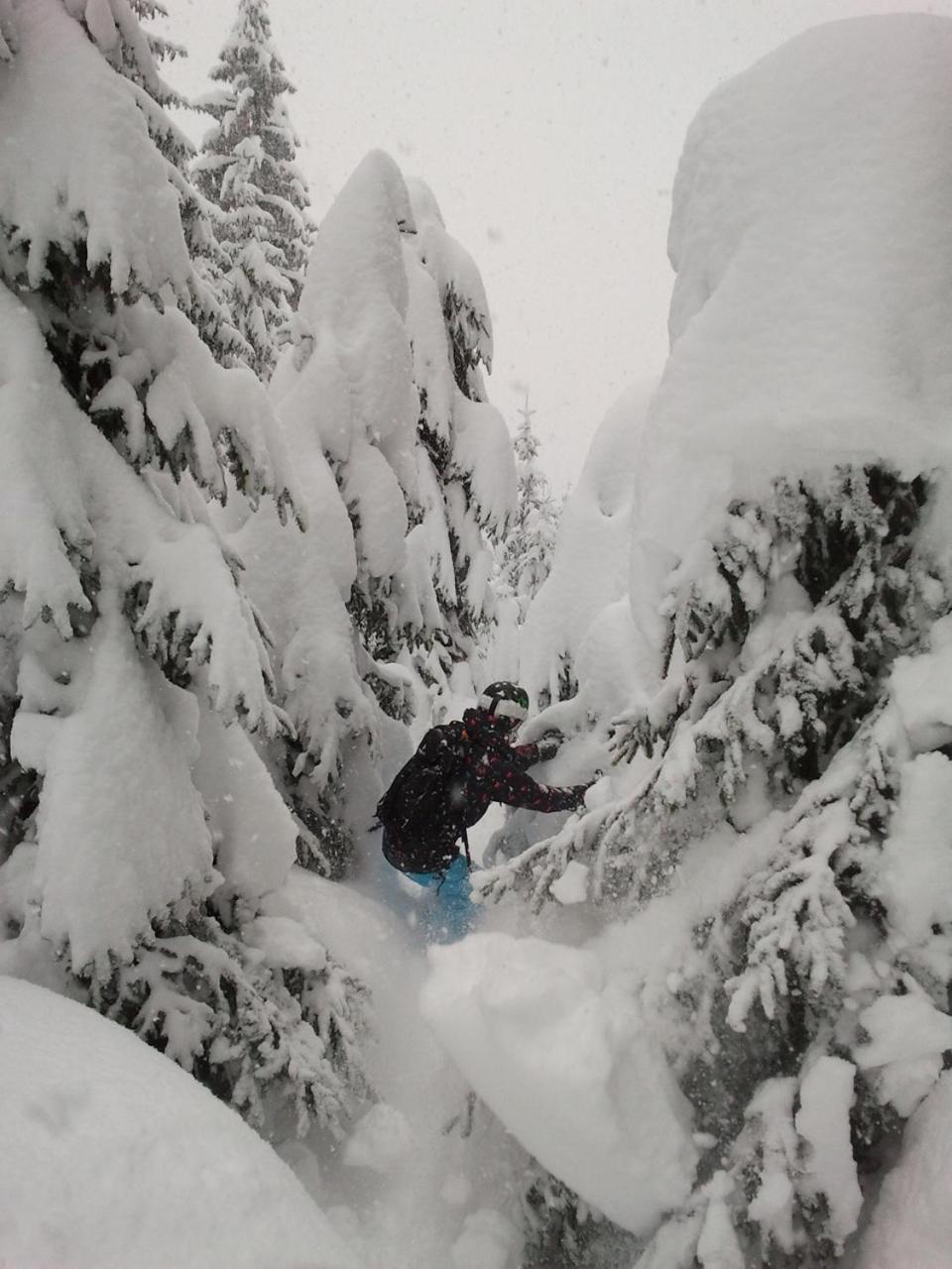 Alpenferienwohnung Strickner Neustift im Stubaital Luaran gambar
